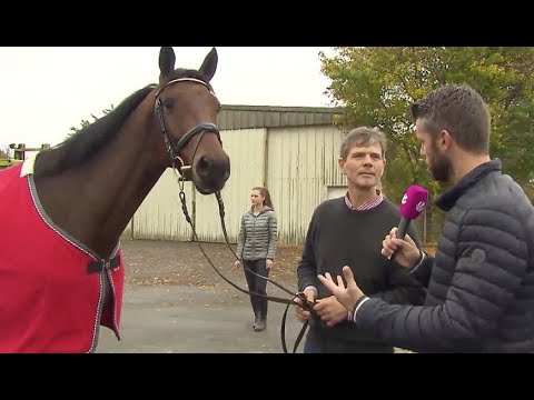 Trakehner Hengstmarkt in Neumünster