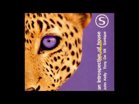 Introspective Of House 3rd Dimension John Kelly, Tony De Vit, Sonique