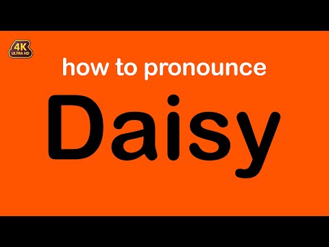 how to pronounce Daisy correctly
