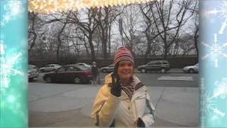 preview picture of video 'New York Christmas 2008'