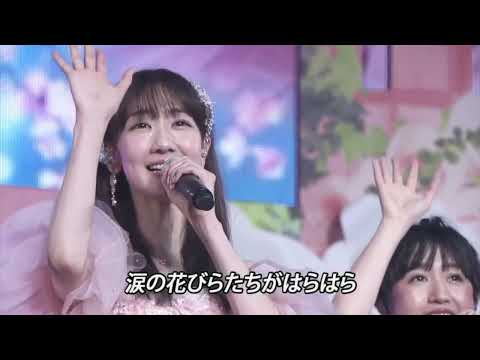 Sakura no Hanabiratachi | AKB48 Yukirin Graduation Concert 16-03-2024