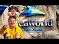 SEA WORLD SAN DIEGO 11 Things To Know Before You Go