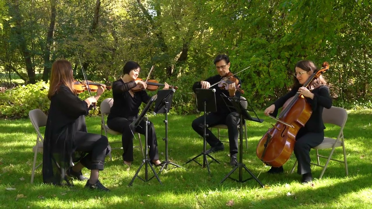 Promotional video thumbnail 3 for Rubato Quartet