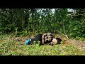The Pitiful Fate Of The Unfortunate Homeless Girl Ly Tu Hoa Who Was Harmed By Sung A Pao