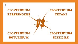 Differences between clostridia (perfringens, tetani, botulinum and difficile)