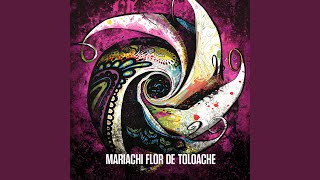 Si Se Calla El Cantor