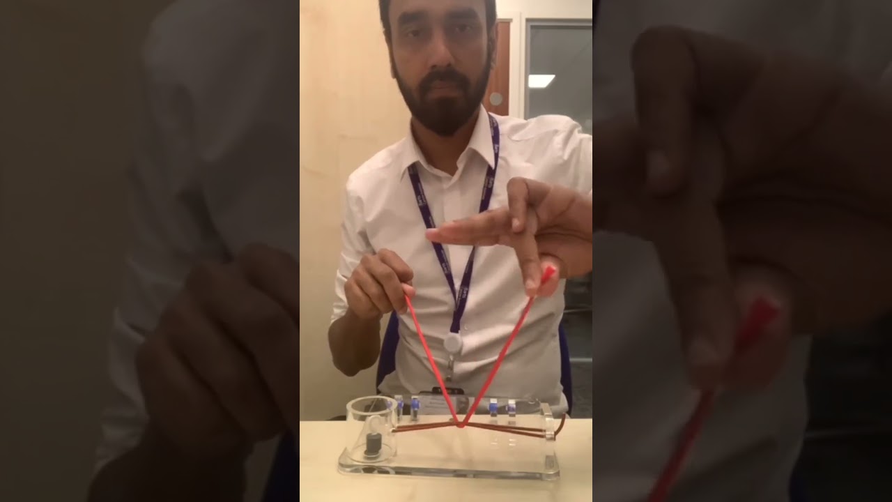 MRCS OSCE: Procedure Skill: Reef Knot