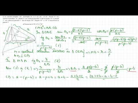 Rezolvarea subiectului I 2 c titularizare 2020