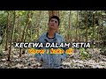 KECEWA DALAM SETIA Thomas Arya Cover Kampreto
