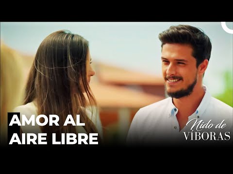 Resolvamos El Acertijo De Amor - Nido De Víboras