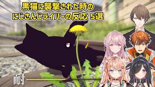 【タンポポは耐える。】黒猫に襲撃された時のにじさんじライバーの反応 5選【にじさんじ切り抜き】