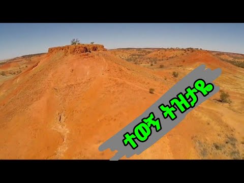 ተወኝ ልኑርበት/Tewogn linurbet ትዝታ