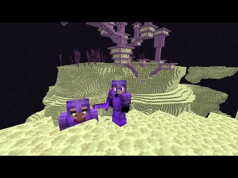 I FOUND THE BIGGEST END CITY EVER IN MINECRAFT! "end country"