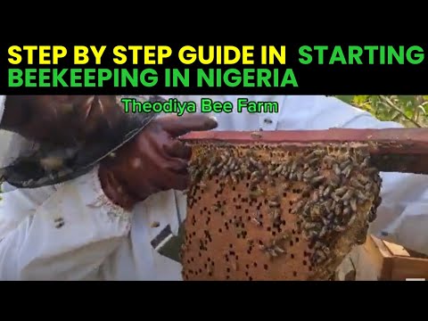 Step by Step Guide to starting beekeeping in Nigeria. Part 1 #HoneyHarvest