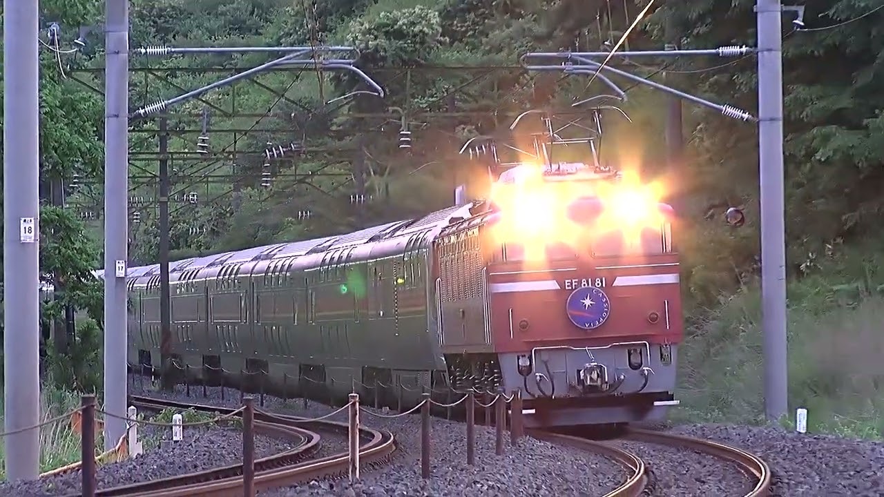 2024.6.15寝台列車カシオペア号（東北線）【野鳥の森の中】