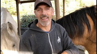 Answers to Common Objections &amp; Criticisms of Listen To Your Horse