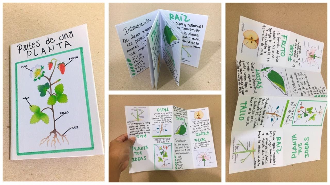 Cómo hacer un FANZINE tamaño A4