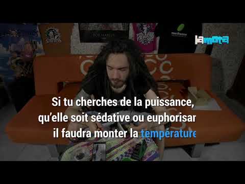 A quelle température le cannabis doit il être vaporisé