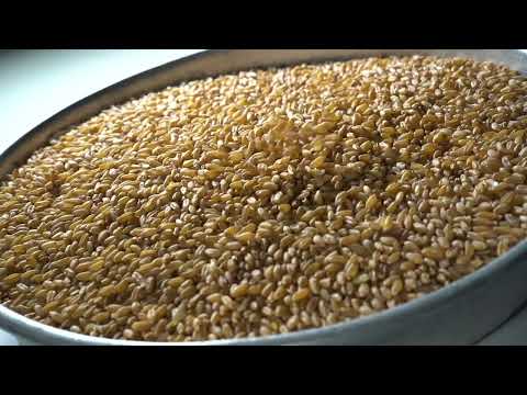 OZMERMER FOUR MILLS' PROMOTIONAL FILM