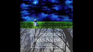 Brand New - Flying At Tree Level (acoustic cover)