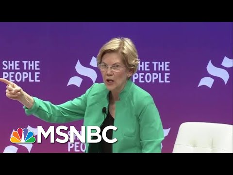 Senator Elizabeth Warren On Why You Should Vote For Who You Believe In | All In | MSNBC