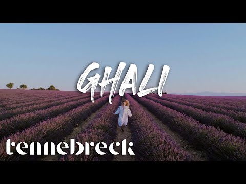 Tennebreck vs. @karimmohsen  - Ghali | Remix