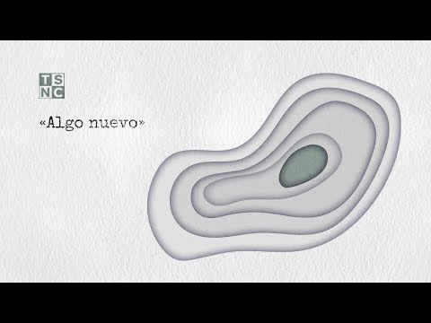 ALGO NUEVO - TSNC