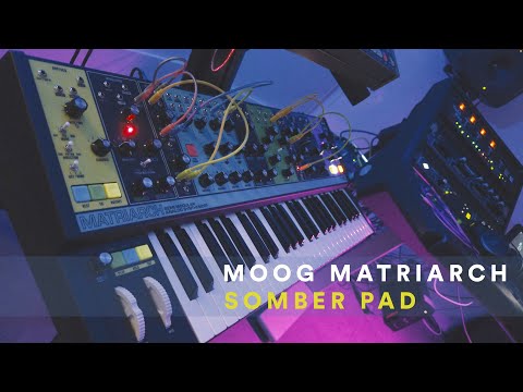 Moog Matriarch Somber Pad