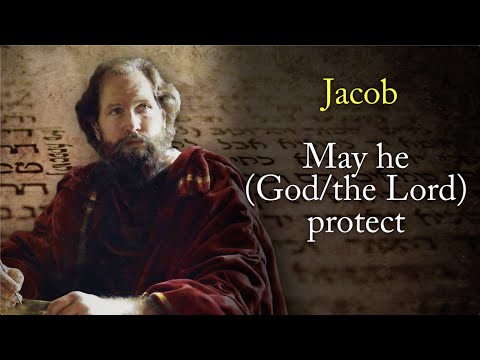 Why Did Jacob Highlight Nephi’s Role as a Protector? (Knowhy #553)