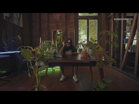 TAIMAOCLUB #0001 · ZIKABRON