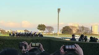 有馬記念2023②レース