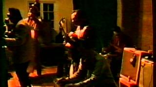 Big Sandy & His Fly Right Boys In Falun,Sweden 1994 part 2