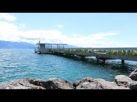 Sociétés locales de Pully