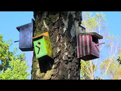 Mazowiecka wieś zaprasza - Wioska Pod Kogutem