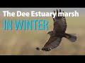 The Dee Estuary Marsh In Winter
