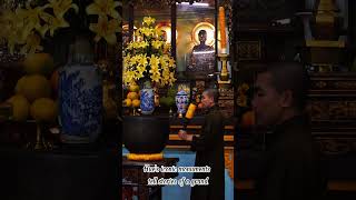 🏯 Journey Through Time in Hue, Vietnam #travelvietnam #vietnamadventure #travel