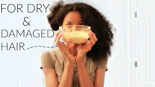 DIY Homemade Deep Conditioner For Damage and Dry Natural Hair|Shawntas Way