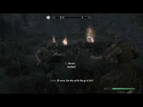 I unlocked my fps on Skyrim