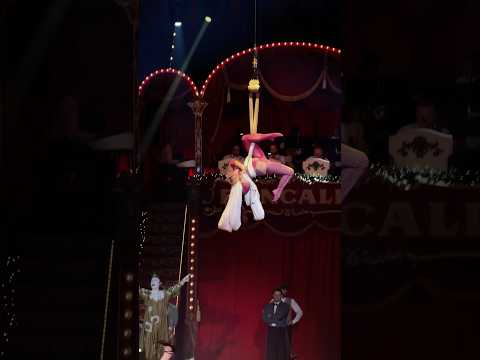 Opening at circus Roncalli #roncalli #tissue #aerial #circus