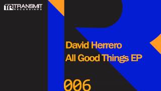 David Herrero - Shock (Original Mix)