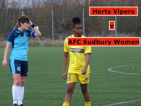 Herts Vipers v AFC Sudbury Women FC - Match Highlights