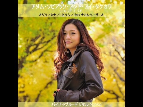 PD050 Adam Sobiech & Ai Takekawa - Yoru Wo Koete 夜を越えて (Original Mix)  HD [Pineapple Digital]