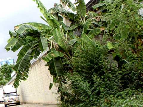 Sample Clip Video Taken with AC-01 Helmet Cam