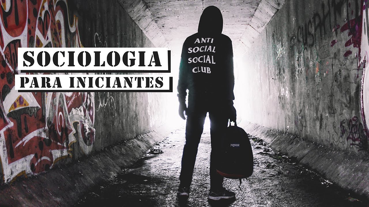 Sociologia para iniciantes