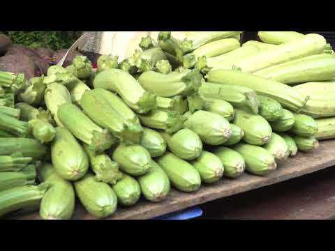 Ceger ep. 423 29.10.2020.