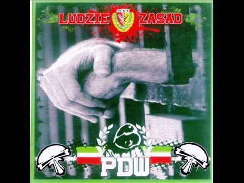 SILESIA TERROR - PDW