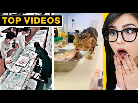 Try Not to Say “NO WAY” Challenges… Impossible 😂 | SSSniperWolf