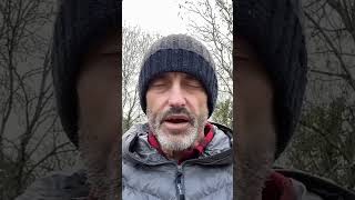 Spread your wings  a 60‑second ritual to increase your angelic frequency