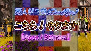 【Apex / Strinova】俺がエペ初めて1200時間経ってるらしい