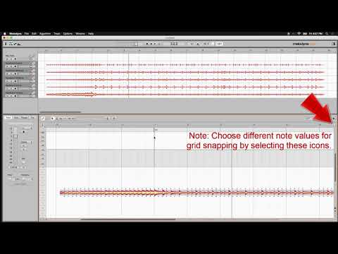 Melodyne 4: Grid Aligning to Imported Audio